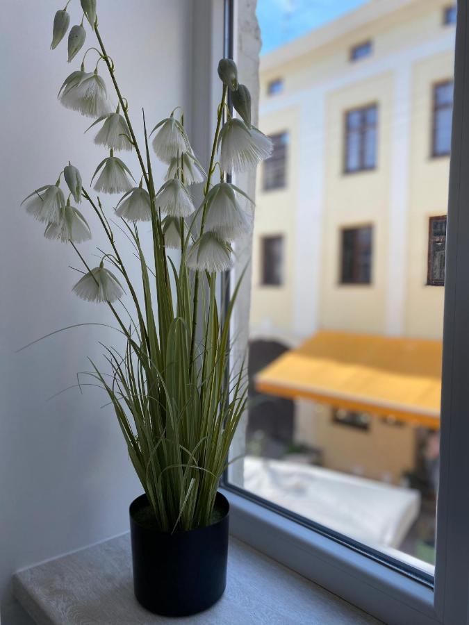 Homelike Apartment Лвив Екстериор снимка